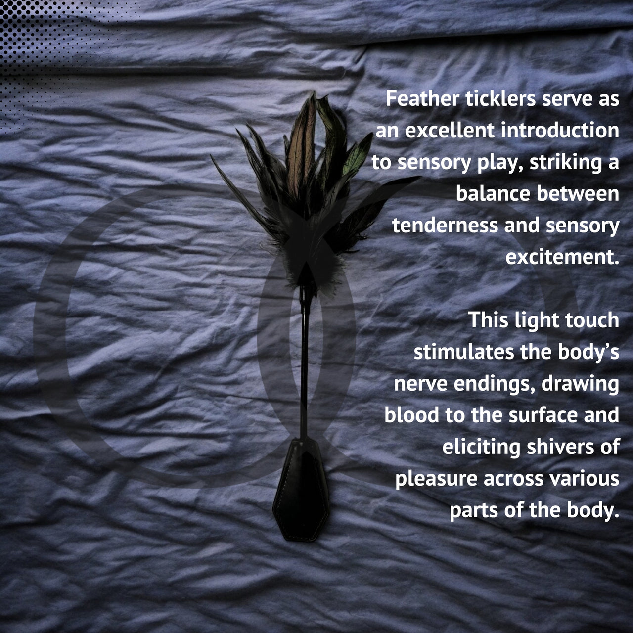 Dual Delight Black Feather & Leather Crop – Elegant Sensory Accessory for Playful Stimulation