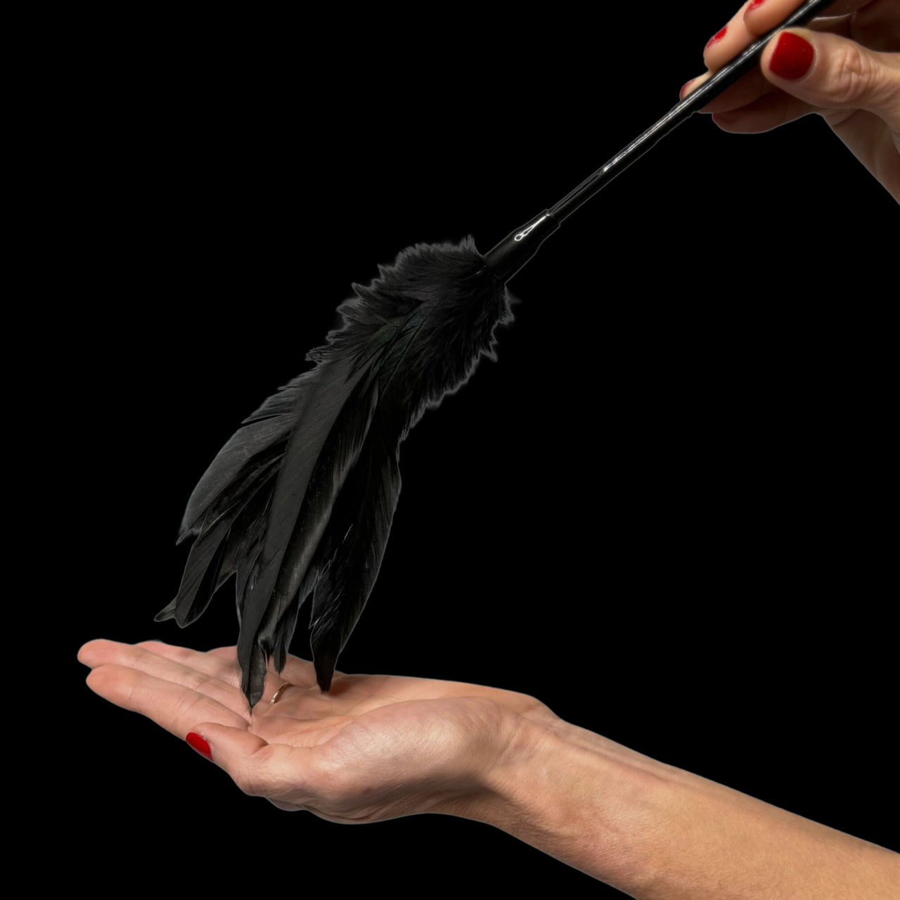 Dual Delight Black Feather & Leather Crop – Elegant Sensory Accessory for Playful Stimulation