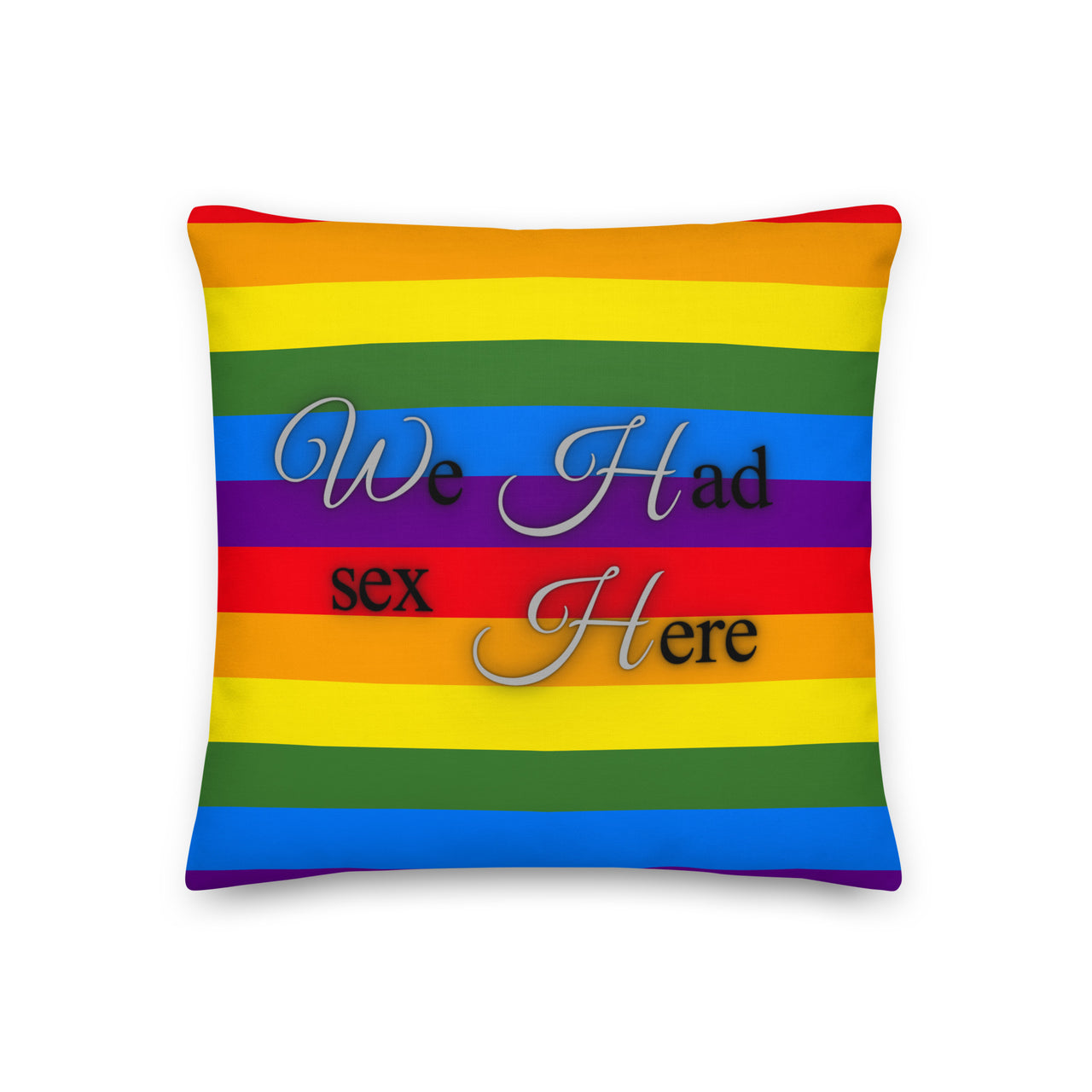 We Had Sex Here And Here Reversable Premium Pride Pillow