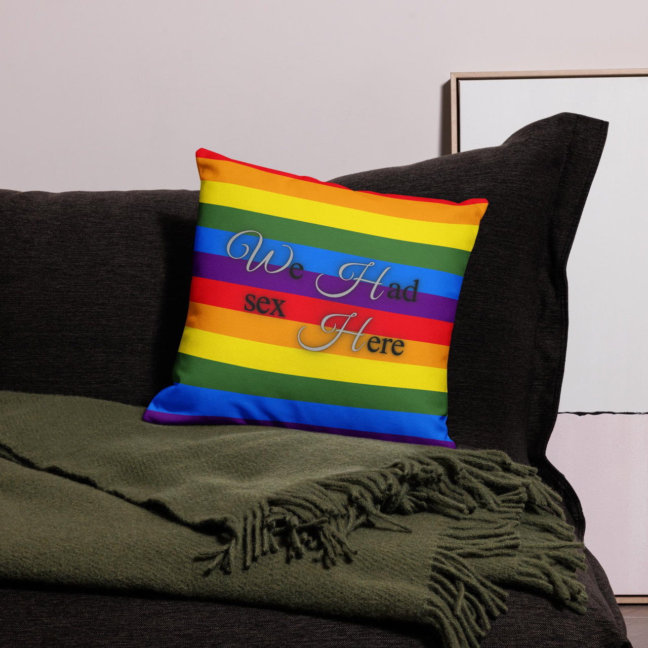 We Had Sex Here And Here Reversable Premium Pride Pillow