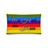 Thumbnail for We Had Sex Here And Here Reversable Premium Pride Pillow