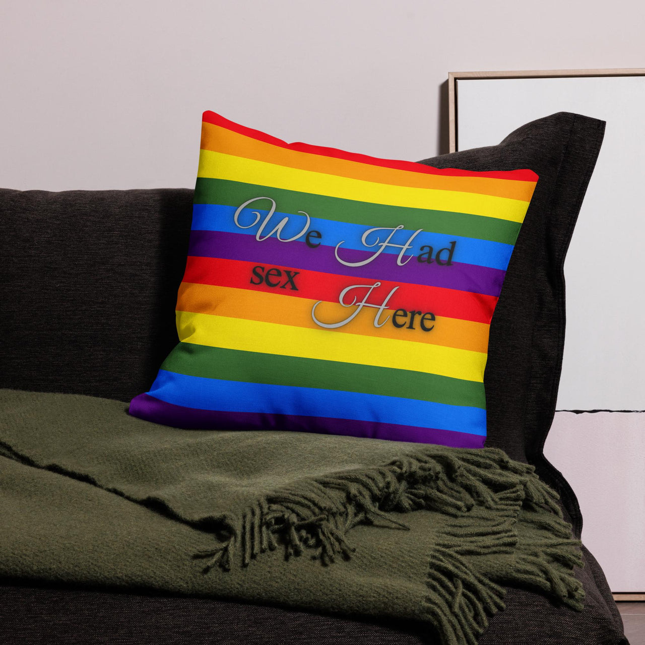 We Had Sex Here And Here Reversable Premium Pride Pillow