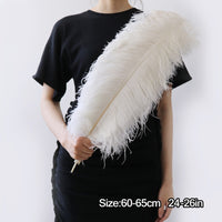 Thumbnail for 10 Pack Natural Ostrich Feathers Sex Room Decor