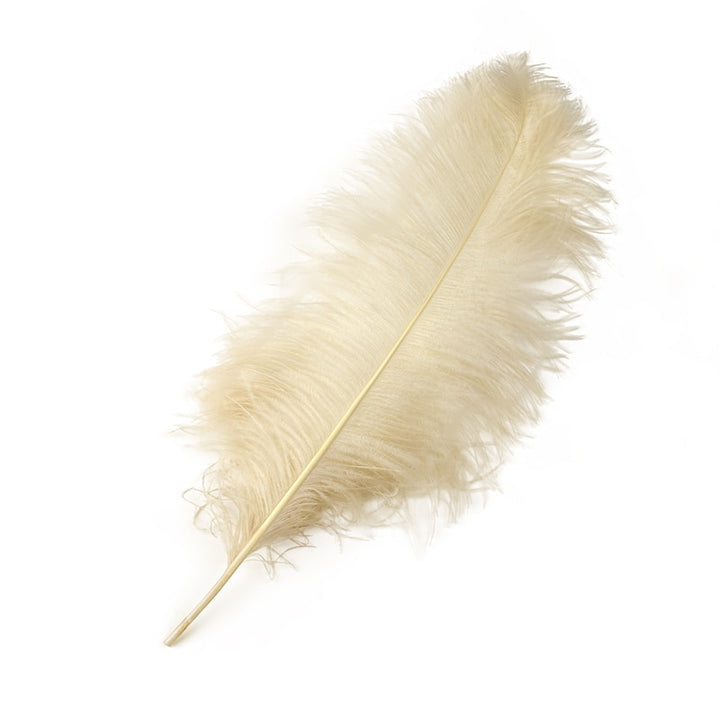 10 Pack Natural Ostrich Feathers Sex Room Decor – Roomsacred